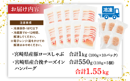 宮崎県産豚 ロース1kg&チーズインハンバーグ5個 セット