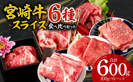 宮崎牛スライス6種食べ比べセット(計600g)　牛肉 宮崎牛