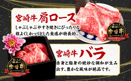 宮崎牛スライス6種食べ比べセット(計600g)　牛肉 宮崎牛