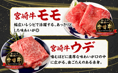 宮崎牛スライス6種食べ比べセット(計600g)　牛肉 宮崎牛