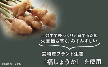 宮崎産ブランド生姜のみを使用 『HOLIC MAKERS』 クラフトジンジャーシロップ 300ml×2本