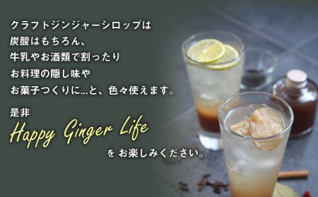 宮崎産ブランド生姜のみを使用 『HOLIC MAKERS』 クラフトジンジャーシロップ 300ml×2本