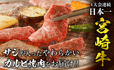 宮崎牛カルビ焼肉(500g)　肉 牛 牛肉