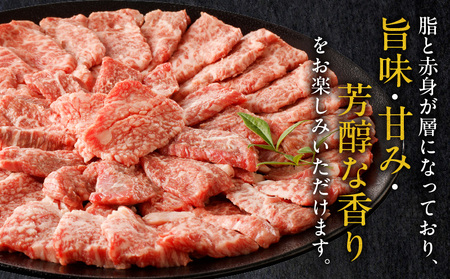 宮崎牛カルビ焼肉(500g)　肉 牛 牛肉