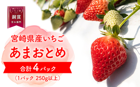 数量限定 期間限定 いちご 「あまおとめ」 4パック (1パック250g以上