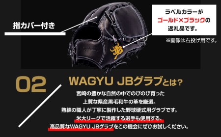 宮崎県産牛革使用 WAGYU JB 硬式用 グラブ 投手用 JB-001T(ブラック/左投げ用)