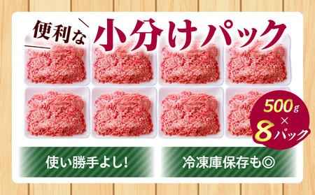 宮崎県産 豚ミンチ4kg 豚肉 ミンチ 小分け