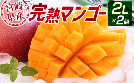 宮崎県産 完熟マンゴー 9入 - 果物