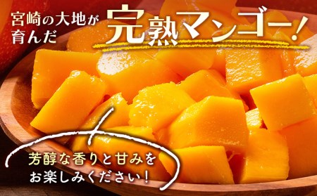 「訳あり」マンゴー 宮崎県産完熟マンゴー1.5ｋｇ（3玉～5玉）【訳あり 家庭用 マンゴー 完熟マンゴー 宮崎県産完熟マンゴー】