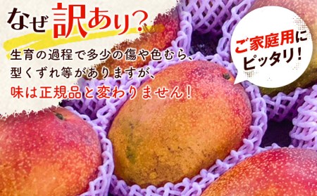 訳あり」マンゴー 宮崎県産完熟マンゴー1.5ｋｇ（3玉～5玉）【訳あり