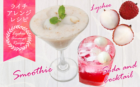 《2026年発送先行予約》【数量・期間限定】宮崎完熟ライチ化粧箱PREMIUMギフト 南国 濃厚 甘い