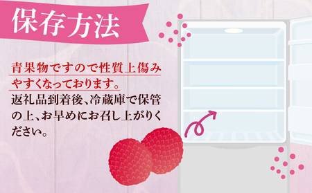 《2026年発送先行予約》【数量・期間限定】宮崎完熟ライチ化粧箱PREMIUMギフト 南国 濃厚 甘い