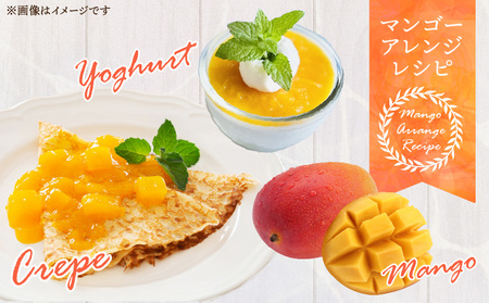 《2026年発送先行予約》【数量・期間限定】宮崎マンゴー4L×1・宮崎ライチ12玉 完熟 果実 太陽