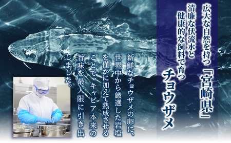【訳あり】宮崎県産キャビア 詰め合わせ 合計150g 魚卵 キャビア ギフト