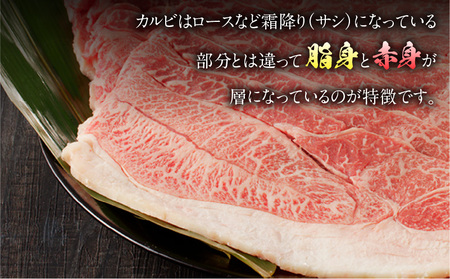 宮崎県産黒毛和牛 カルビ一枚肉【厚め】1.0kg 牛肉 カルビ