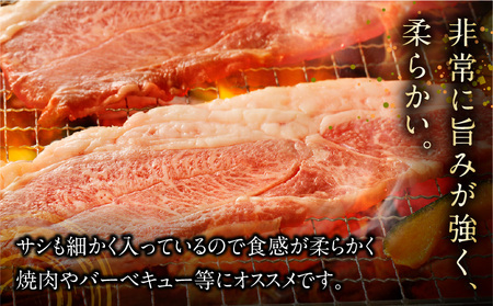 宮崎県産黒毛和牛 カルビ一枚肉【厚め】1.0kg 牛肉 カルビ