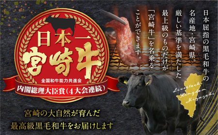 宮崎牛 ヘルシー赤身定期便 牛肉 赤身 ステーキ ブロック ステーキ スライス 焼肉