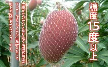 《2024年発送》樹上完熟マンゴー3L×2玉　完熟マンゴー　樹上マンゴー　宮崎県産