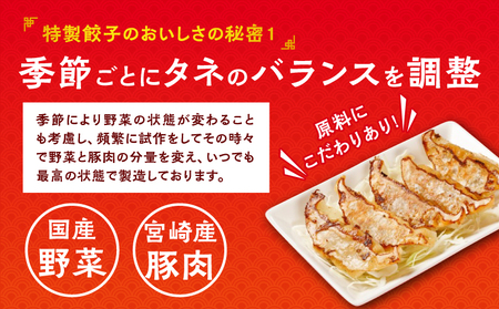 悠瑠里特製餃子36個&鶏餃子36個 食べ比べセット