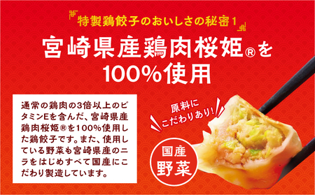 悠瑠里特製餃子96個&鶏餃子84個 食べ比べセット 餃子 ぎょうざ 惣菜