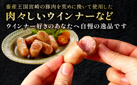 宮崎県産肉加工品バラエティセットA（合計1.27ｋｇ9種類） ハム 粗挽 ウィンナー 炭火焼 ロースハム ベーコン セット