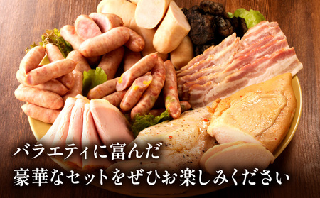 宮崎県産肉加工品バラエティセットA（合計1.27ｋｇ9種類） ハム 粗挽 ウィンナー 炭火焼 ロースハム ベーコン セット