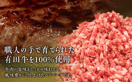 宮崎県産黒毛和牛100％グリルハンバーグ1.5kg ハンバーグ 冷凍食品 牛肉