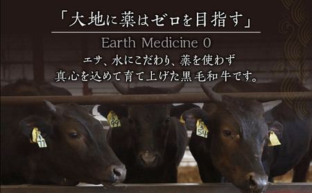 宮崎県産黒毛和牛100％グリルハンバーグ1.5kg ハンバーグ 冷凍食品 牛肉