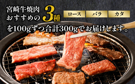 宮崎牛 焼肉食べ比べ３種盛 300g ロース バラ カタ