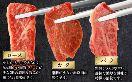 宮崎牛 焼肉食べ比べ３種盛 300g ロース バラ カタ