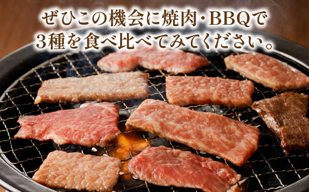 宮崎牛 焼肉食べ比べ３種盛 300g ロース バラ カタ