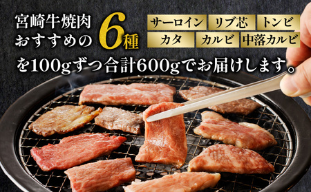 宮崎牛 焼肉食べ比べ6種盛 600g サーロイン リブ芯 トンビ カタ カルビ