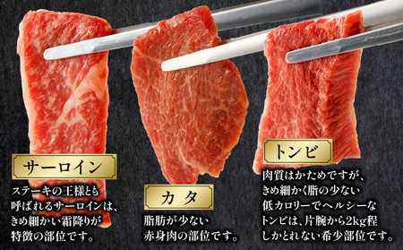 宮崎牛 焼肉食べ比べ6種盛 600g サーロイン リブ芯 トンビ カタ カルビ