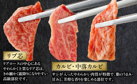 宮崎牛 焼肉食べ比べ6種盛 600g サーロイン リブ芯 トンビ カタ カルビ