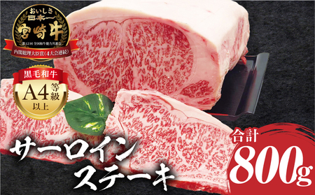 宮崎牛 サーロインステーキ 4枚 合計800g 肉 牛肉 赤身