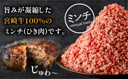 宮崎牛 サーロインステーキ & ハンバーグ用ミンチ セット 合計 1.1kg サーロインステーキ ハンバーグ 宮崎牛