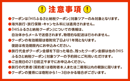 宮崎県宮崎市の対象ツアーに使えるHISふるさと納税クーポン 寄附額20000円 クーポン 宮崎県 ツアー