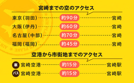 宮崎県宮崎市の対象ツアーに使えるHISふるさと納税クーポン 寄附額100000円 クーポン 宮崎県 ツアー