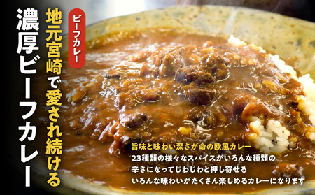 カレーショップばん　宮崎老舗カレー詰合せ8食セット チキンボール 欧風カレー スパイス