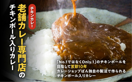 カレーショップばん　宮崎老舗カレー詰合せ8食セット チキンボール 欧風カレー スパイス
