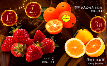 《2026年発送先行予約》【数量・期間限定】青果店厳選！「3ヶ月お届け！くだもの定期便Vol.1」青果物 果物 フルーツ