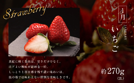 《2026年発送先行予約》【数量・期間限定】青果店厳選！「3ヶ月お届け！くだもの定期便Vol.1」青果物 果物 フルーツ