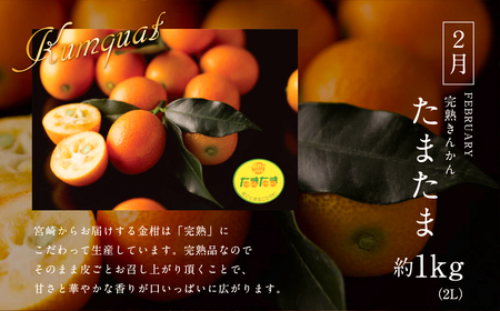 《2026年発送先行予約》【数量・期間限定】青果店厳選！「3ヶ月お届け！くだもの定期便Vol.1」青果物 果物 フルーツ