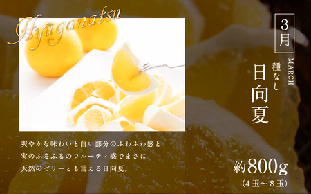 《2026年発送先行予約》【数量・期間限定】青果店厳選！「3ヶ月お届け！くだもの定期便Vol.1」青果物 果物 フルーツ