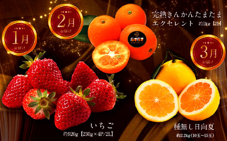 《2026年発送先行予約》【数量・期間限定】青果店厳選！「3ヶ月お届け！くだもの定期便Vol.3」 くだもの 果物 フルーツ いちご きんかん 日向夏