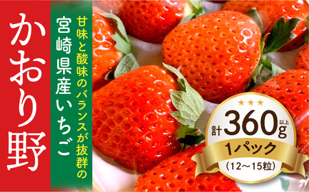 《2026年発送》【数量・期間限定】宮崎県産いちご「かおり野」1パック(計360g以上：12粒～15粒) 甘味 酸味 抜群