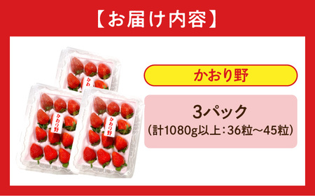《2026年発送》【数量・期間限定】宮崎県産いちご「かおり野」3パック(計1080g以上：36粒～45粒) 甘味 酸味 抜群