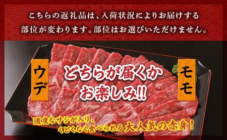 宮崎牛赤身焼肉1kg 牛 焼肉 赤身