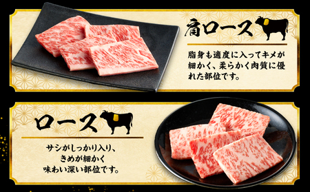 宮崎牛焼肉10種盛り合わせ 宮崎牛 焼肉 牛肉