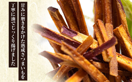 熟成さつまいもの芋けんぴ選べる２種セット 塩けんぴ プレーン味 カレー味